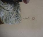 A. JOUVE (XXème siècle) "Saint-Bernard" Huile sur papier signée en...