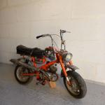 BENELLI: Cyclomoteur BENELLI Minibike vraisemblablement un modèle 1959. sans carte...