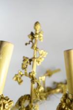 Paire d'appliques en bronze ciselé et doré, à décor de...