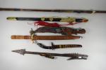 Lot de 6 armes décoratives modernes comprenant deux sarbacanes en...