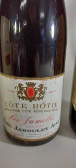 Lot de 9 bouteilles de vin:
-Château RAYA 1976
-Touraine Amboise 1972
-Sablé...