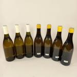 7 bouteilles  de CHABLIS:
-3 CHABLIS, "La forest", domaine DAUVISSAT,...