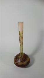 Etablissements GALLE : Vase à long col en verre multicouche...