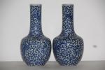 Paire de vases bouteille en porcelaine bleu blanc. Chine, XIXème...