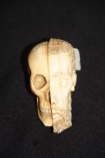 Mémento mori, crâne en ivoire sans mandibule,époque XIXe,  48...