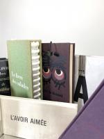 Editions Robert MOREL : 
Deux cartons de livres objets 
62...