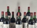 12 bouteilles Domaine de Sainte-Gemme, Bordeaux Supérieur (bas goulot)