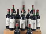 12 bouteilles Domaine de Sainte-Gemme, Bordeaux Supérieur (bas goulot)