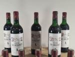 12 bouteilles Château de Cavaillet, Premières Côtes de Bordeaux ...