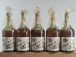 10 bouteilles Château Chalon, Michel Tissot 1962 (haut et mi-épaule)