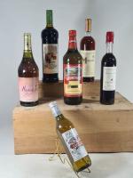 Lot de 10 bouteilles dont vin et spiritueux comprenant Rhum...