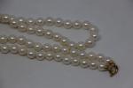 Collier de 61 perles de culture (diamètre 7 mm) forme...