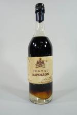 Bouteille de Cognac Napoléon mis en bouteille par Brugerolle (niveau...