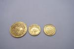 3 Monnaies arabes en or : 
1 livre turque poids...