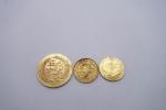 3 Monnaies arabes en or : 
1 livre turque poids...