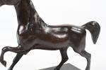 ECOLE XXème siècle. "Cheval en liberté", Bronze à patine brune....