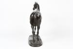 Pierre LENORDEZ (1815-1892). "Pilgrim",  portrait de cheval, Bronze à...