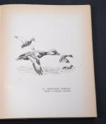 OBERTHUR Joseph. "L'activité migratoire", 126 dessins de l'auteur, Paris, 1947