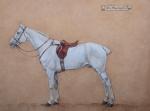 MAHON André (19ème-20ème siècle). "Cheval gris sellé", gouache sur papier...