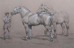 RIVET Jean (début 20ème). "Présentation des chevaux lourds", dessin à...