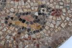 MEDAILLON de mosaïque romano-byzantine figurant un canard et trois canetons....