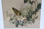 SUITE de trois CHROMOLITHOGRAPHIES en couleur à sujet d'oiseaux dans...