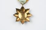 COMORES Ordre de l'Étoile d'Anjouan. Étoile de Chevalier. Argent doré,...