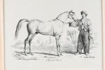 VERNET, Carle (1758-1836). « Cheval arabe», lithographie en noir signée et...