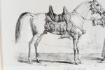 VERNET, Carle (1758-1836). « Cheval arabe avec son équipement», lithographie en...