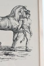VERNET, Carle (1758-1836). «Cheval anglais tenu par son lad», lithographie...