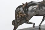 GURADZE, Hans (1861-1922). « Cheval de flèche harnaché pour l'attelage », bronze...