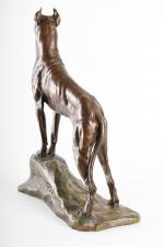 * PERRAULT-HARRY, Emile (1878-1938). "Dog allemand", bronze à patine brune...