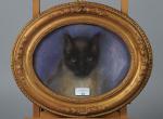 ECOLE FRANCAISE du 20ème siècle. "Portrait de chat siamois", pastel...