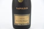 1 magnum Cognac Grande fine champagne Napoléon, Rémy Martin, niveau...