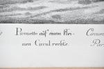 REDINGER, Johan Elias (1698-1766) (d'après). "Pirouette sur le petit cercle"...
