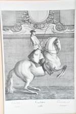 REDINGER, Johan Elias (1698-1766) (d'après). "Courbette" et "Passage à la...