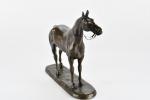 ILLIERS, Gaston (d') (1876-1932). "War-Claim" ou "demi-sang", bronze à patine...
