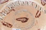 PLAT hispano-mauresque en céramique à lustre métallique. XV-XVIème s. Manque...
