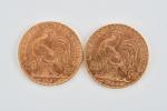 MONNAIES d'OR (7) : 20 francs 1907 (2), 1909 (2),...