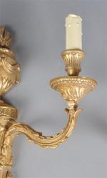 APPLIQUES (paire d') en bronze doré à deux lumières, style...