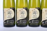 10 blles ALSACE, GERMAIN ECKLE, Riesling, cuvée sélectionnée 2010