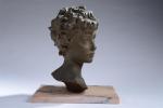 PUECH, Denys Pierre (1854-1942). "Buste de jeune Romain", bronze à...
