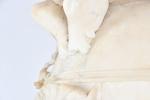 IMPORTANT VASE sur COLONNE en albâtre à riche décor sculpté...