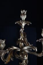 APPLIQUES (paire d'importantes) à riche décor en bronze ciselé et...