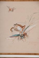 GROSCLAUDE, L. XXème siècle. Insectes. Cinq dessins humoristiques à sujet...
