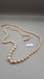 Collier de perles de culture en chute de 50 cm...