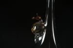 MASSIMO LUNARDON MURANO - carafe en verre à décor d'une...