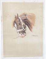 Francique REBOUR. "Tête de cheval lourd", gravure signée dans la...