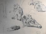 MERITE Edouard (1867-1941). "Etudes de chiens", quatre dessins à la...
