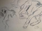 MERITE Edouard (1867-1941). "Etudes de chiens", quatre dessins à la...